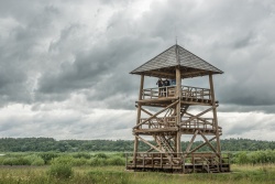 Auto-foto orientēšanās spēle